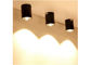 Поверхностная установленная лампа пятна потолка СИД УДАРА 7W 10W 15W 20W для домашнего/офиса
